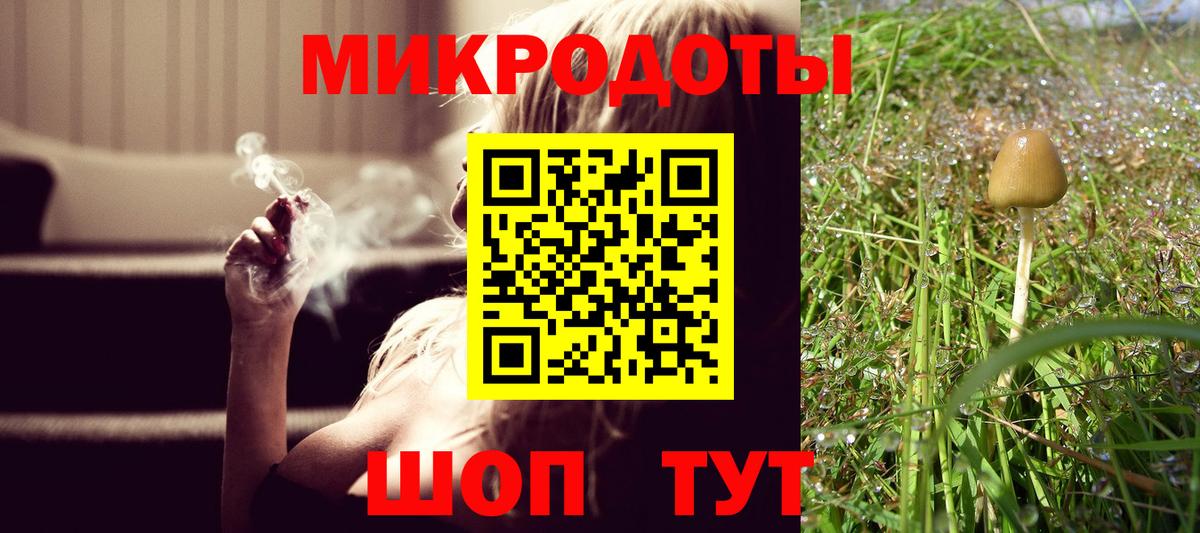 закладки  Вход с VPN  Верхняя Пышма  Псилоцибиновые грибы мухоморы  Псилоцибиновые грибы GOLDEN TEACHER 