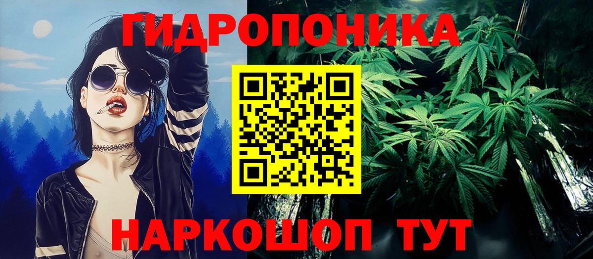 Конопля White Widow  Вход с VPN  Бошки марихуана гибрид  Верхняя Пышма 